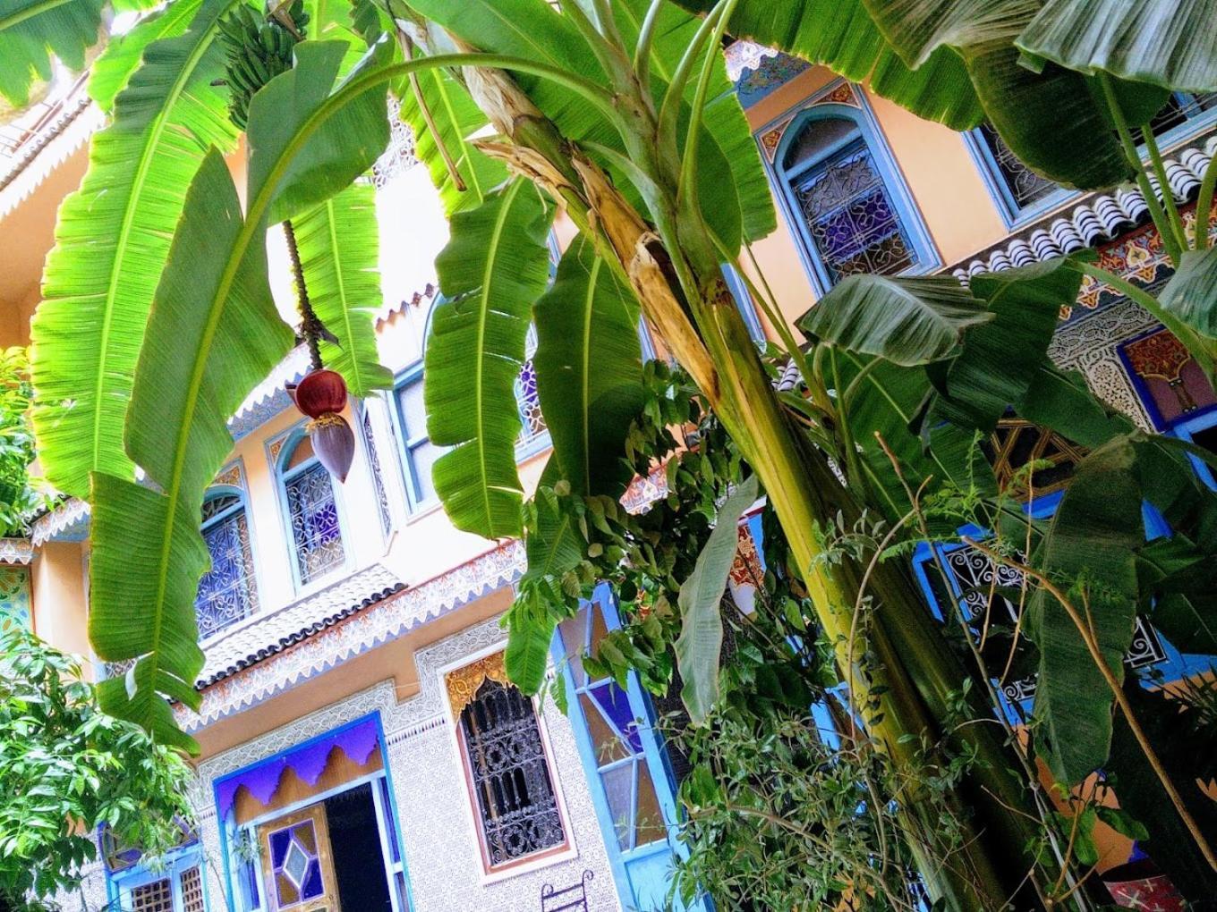Riad Carole - Perfect For Families & Groups Marrakesh Exterior photo